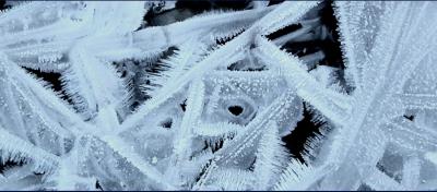 152 FROSTICLES.jpg
